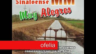 Video thumbnail of "ofelia--banda mm"