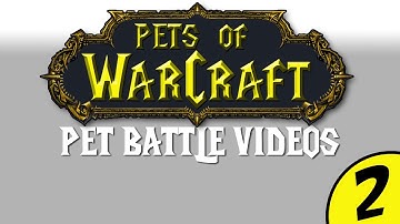 MoP BETA Warcraft PetsOfWarCraft Video 02 - Intro to the Pet Battles