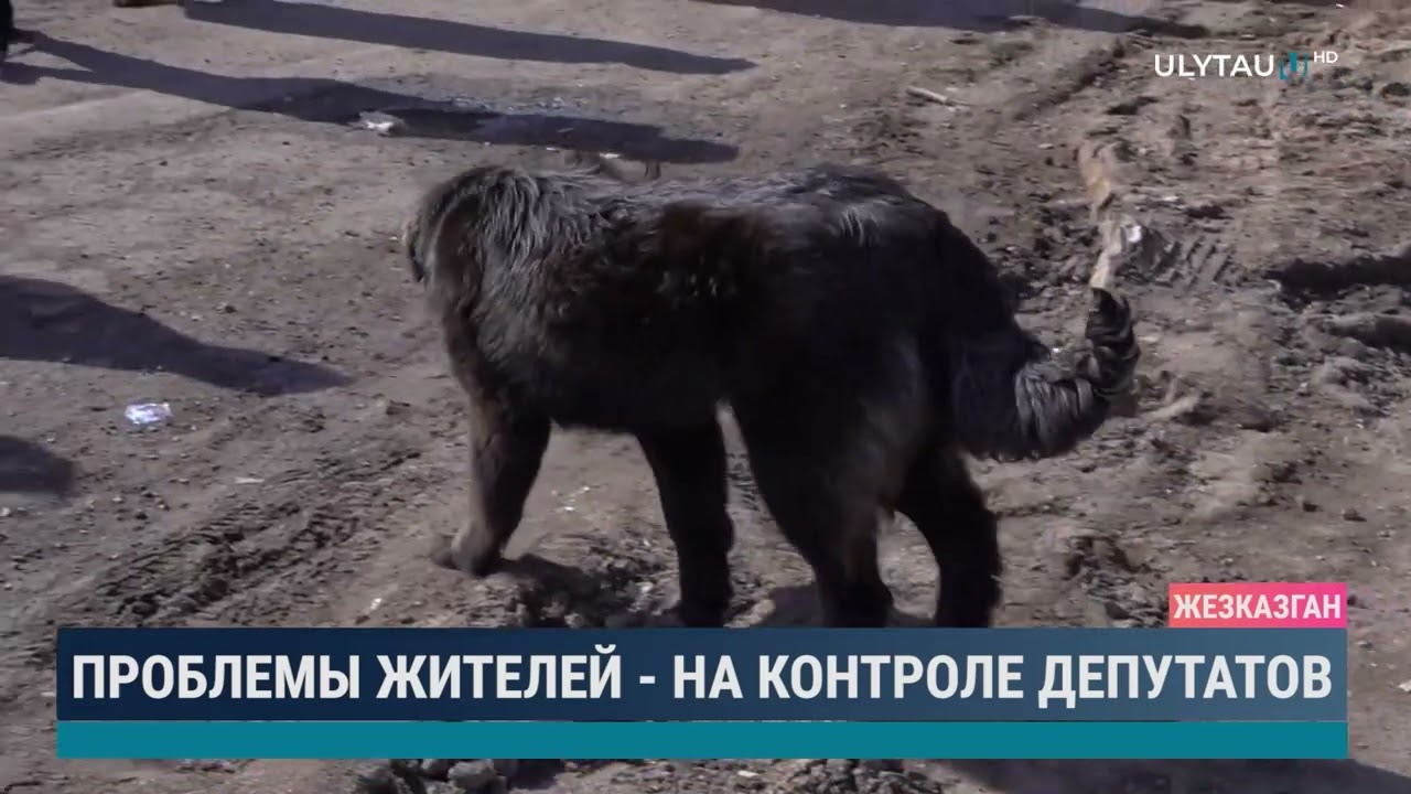 Проблемы жителей - на контроле депутатов