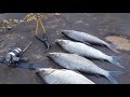 PESCA COM ESTILINGUE (água limpa peixe garantido)🐟🎯