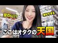 【大興奮】韓国人姉妹、ホビーオフで爆買いが止まらない！！