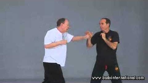 JKD. Elements of attack. Tim Tackett.