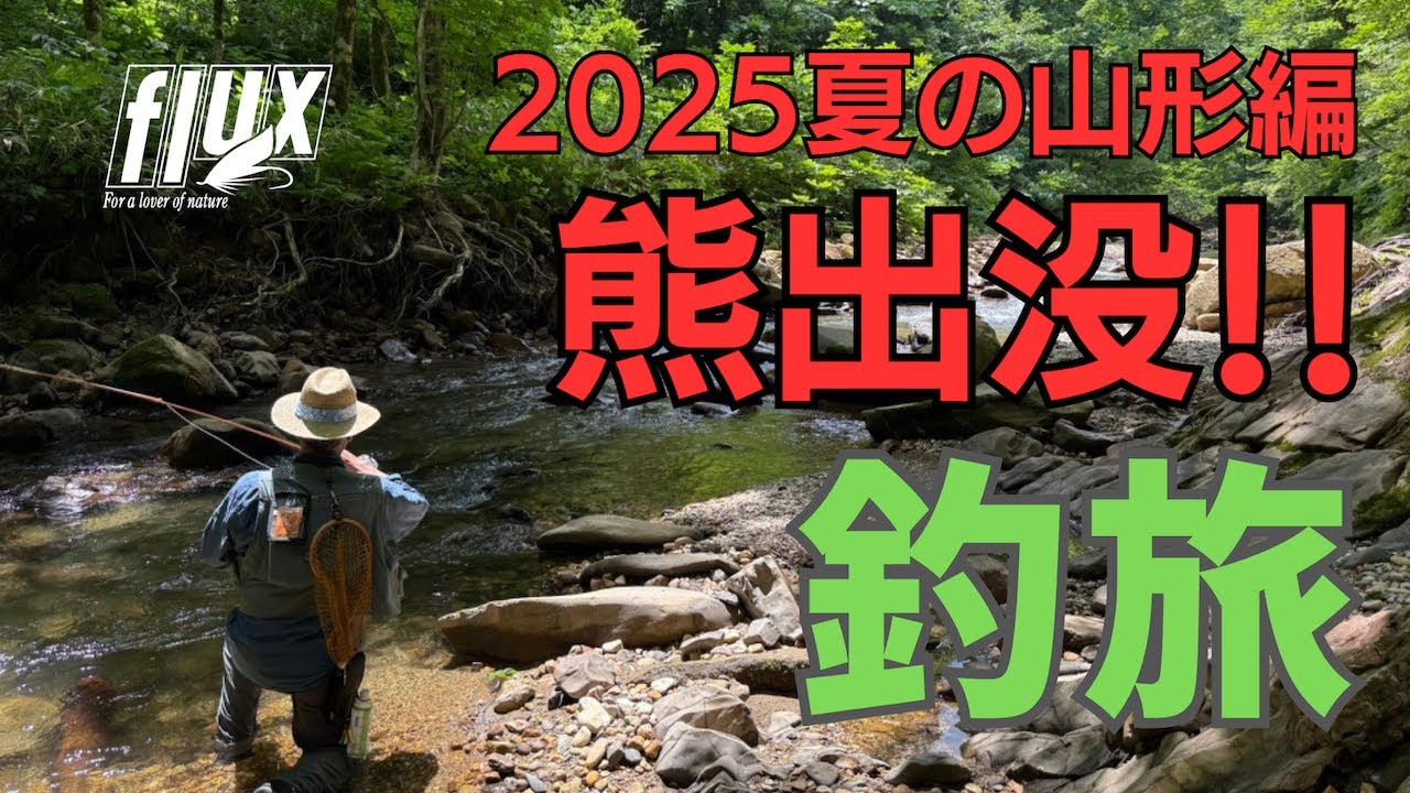 【FlyFishing】熊も出没！　釣り上がり＆ライズ！　2025年夏山形県/鳥海山ほか
