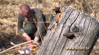 Филе щуки с гарниром из креветок. Филе щуки с гарниром из креветок.