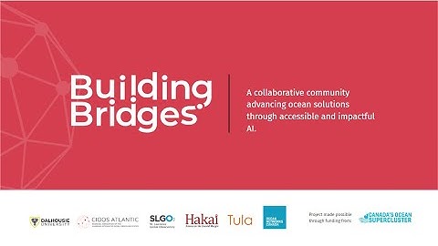Building Bridges Community: Accessible AI, Collaborative Action, and Smarter Ocean Solutions