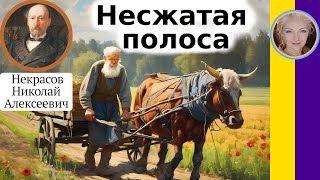 Несжатая полоса. Некрасов Н. А. Учить стих