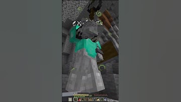 Minecraft But We Get Random Effects Vs My Friend...