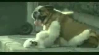 2484love story  moving