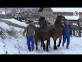-Simo Mandić iz Orahovljana po teškoj zimi konjima  izvlačio bukovinu -