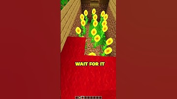 MINECRAFT : HOW TO GET RID OF ZOMBIES 🤔 WAIT FOR IT..#minecraft  #shorts