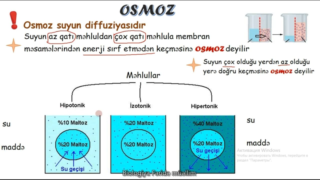 Biologiya.OSMOZ VE DIFFUZIYA#biologiya #biologia #biology