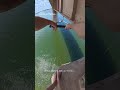 限界に挑む瞬間を、もっと迫力ある映像で🔥ロープスイングジャンプをOsmo Action 6で撮影