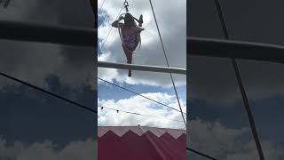 Allentown fair circus 