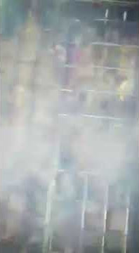 story whatsapp - bakar sate kurban idul adha boongan