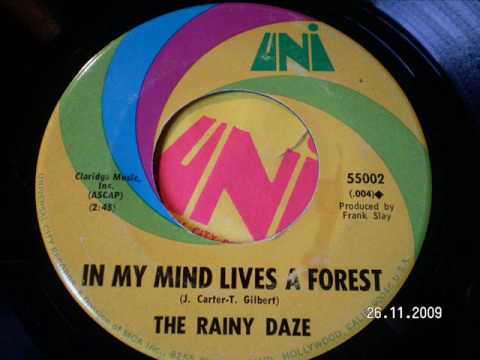 THE RAINY DAZE - In my mind lives a forest