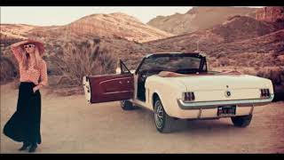 Still Corners - Black Lagoon