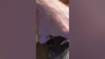 Unboxing new Swell 125 City skates from Powerslide