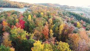 How to Create YouTube Shorts Using AI | AI Video Creator, Image Generator & Art Tools" 🚀