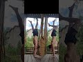 Which Handstand is better?