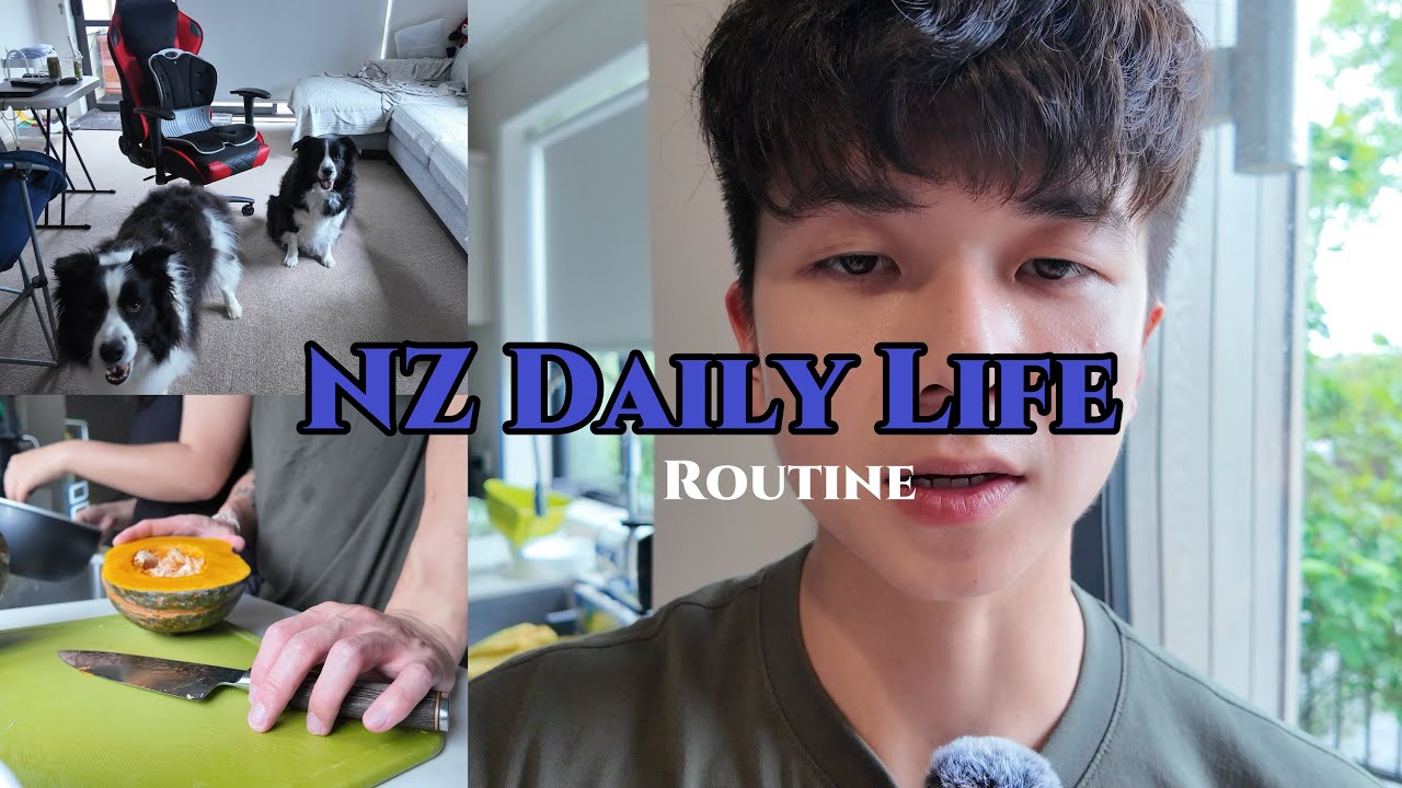 Simple day in New Zealand | passport renewal, wife and dogs& cozy day off