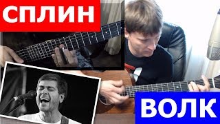 Волк под гитару Сплин 🎸 аккорды cover Волк под гитару Сплин 🎸 аккорды cover