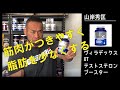 「男性が男性たる理由、それがテストステロン」ヴィラデックス XT テストステロンブースター