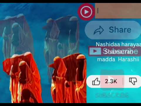 Shamarran Madda Harashii Harar Shek Jamal Abdullaa Yokaa Arattanyaa Shamarran Madda Harashii Harar Shek Jamal Abdullaa Yokaa Arattanyaa