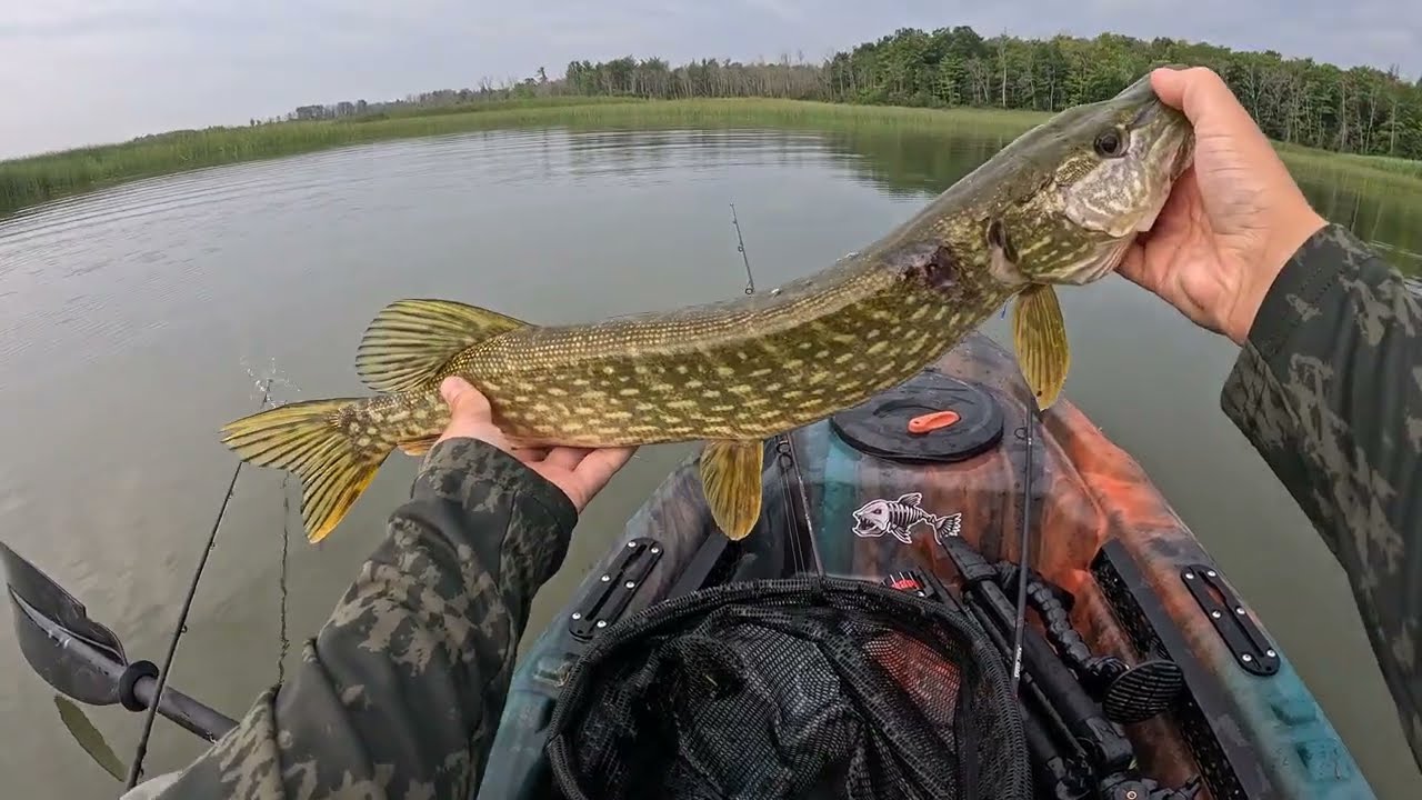 3 days fishing for pike and bass