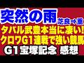 【宝塚記念】タバルの為の恵みの雨・豊マジック・クロワ連戦で強い競馬・デサイル強い強い3着【上半期G1お疲れさまでした】