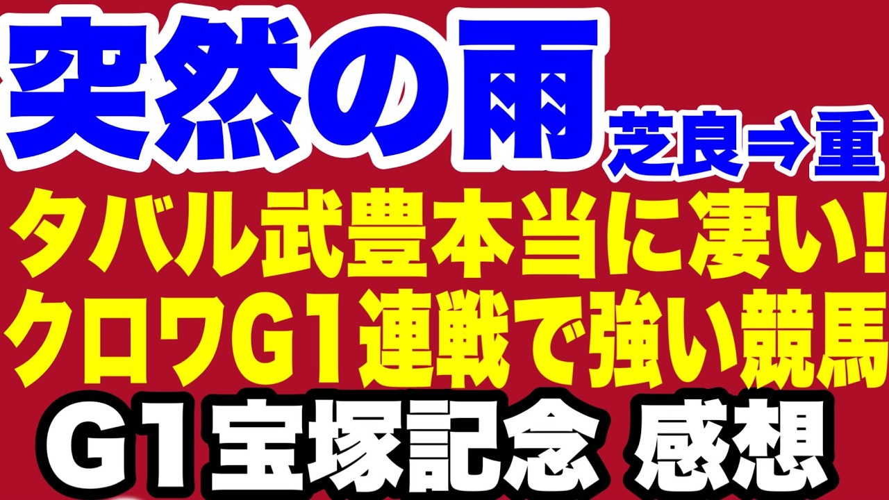 【宝塚記念】タバルの為の恵みの雨・豊マジック・クロワ連戦で強い競馬・デサイル強い強い3着【上半期G1お疲れさまでした】