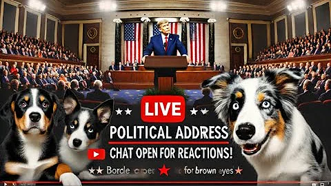 🇺🇸 Sen. Cory Booker's Marathon Senate Speech Against Trump Policies 🗣️ Live Coverage 🎥