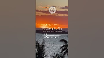 #تلاوات_مطرف_المطرف #صلوا_على_النبي #لا_اله_الا_الله #السعودية #تلاوات_خاشعة #اكسبلور #لايك #تلاوات