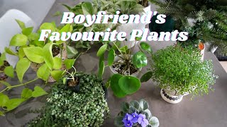 Boyfriend's Favourite Plants | As Narrated by Alex