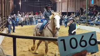 The BIGGEST Horse Auction In The State! Will We Be Able to Save Any?