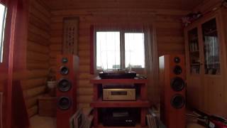Micro Seiki DD-55 и Accuphase E-305