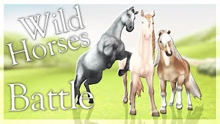 Wild Horses Dressage Battle | Star Stable