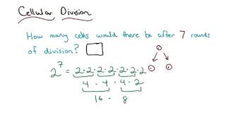 Cellular Division Solved - Visualizing Algebra