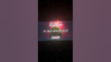 تلاوة تبعث الطمأنينة في القلب🌹🌺🫀