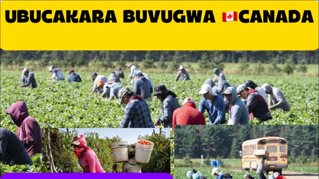 🚨UTUZI DUKORWA N’ABANYAMAHANGA GUSA NIBWO BUCAKARA BUVUGWA CANADA❓