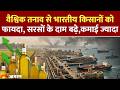 Hormuz Crisis effects on Farmer: वैश्विक तनाव से घरेलू तिलहन को फायदासरसों के दाम बढ़े, किसान खुश
