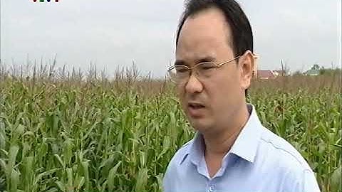 Tạo chuỗi liên kết vững chắc giữa Nông dân với Doanh nghiệp