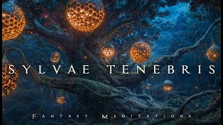 Sylvae Tenebris - Beautiful Fantasy Music - Ambient Soundtrack for Relaxing, Sleep, Study, RPG, DnD