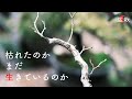 枯れた枝と生きた枝の見分け方！原因と対策【盆栽Q】