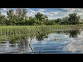 ЛЕТНИЕ ЖЕРЛИЦЫ, ЩУКА !! ОСТАВИЛ НА НОЧЬ | самоловка