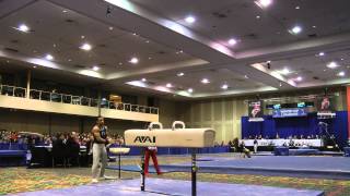 Trevor Howard - Pommel Horse - 2014 Winter Cup Challenge Finals