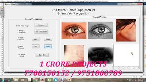 An Efficient Parallel Approach for Sclera Vein Recognition | 1 Crore Projects