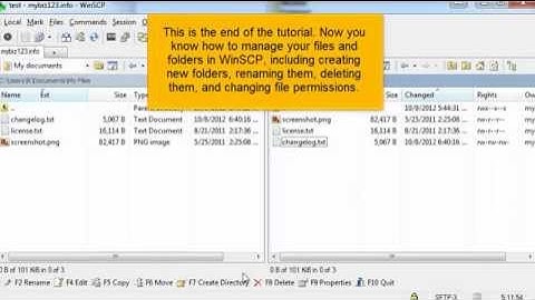How to Manage Your Files Using WinSCP (Flipper Host)