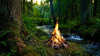 No Ads🔥Relaxing Campfire by a Forest Stream | Crackling Fire & Flowing Water | Real Nature Sounds