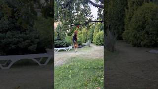 Бигль Хьюго бесится с мячом