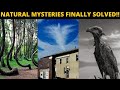 Top 3 natural mysteries finally solved   top 3 strange natural phenomenons